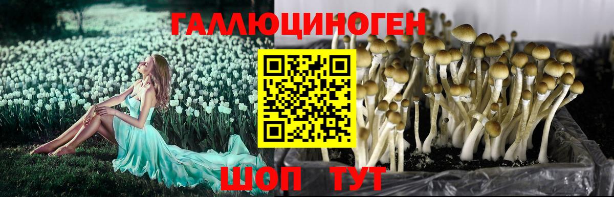 Псилоцибиновые грибы MAGIC MUSHROOMS Дубна