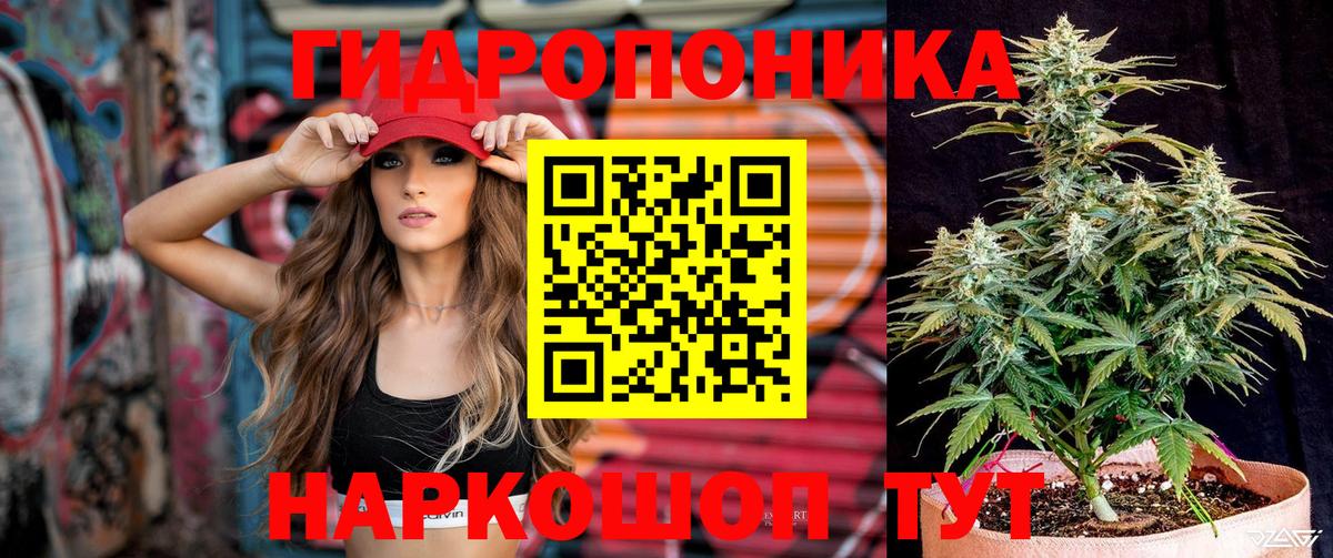 Шишки марихуана OG Kush Дубна